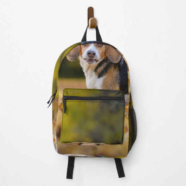 Item preview, Beagle designed and sold by (Tallow) Dave Van de Laar.