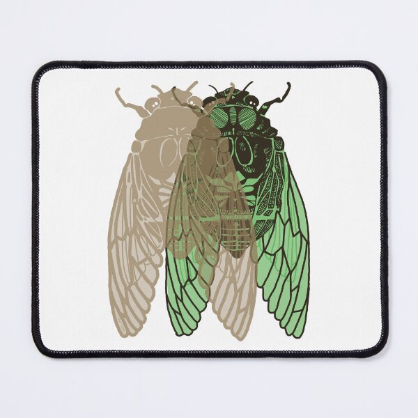 Item preview, cicada shell designed and sold by danslarue.