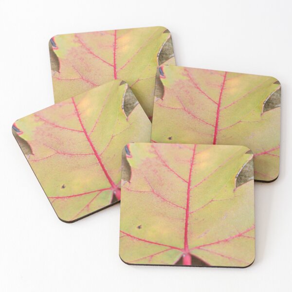 Item preview, Red-Veined Leaf designed and sold by MinaBohl.