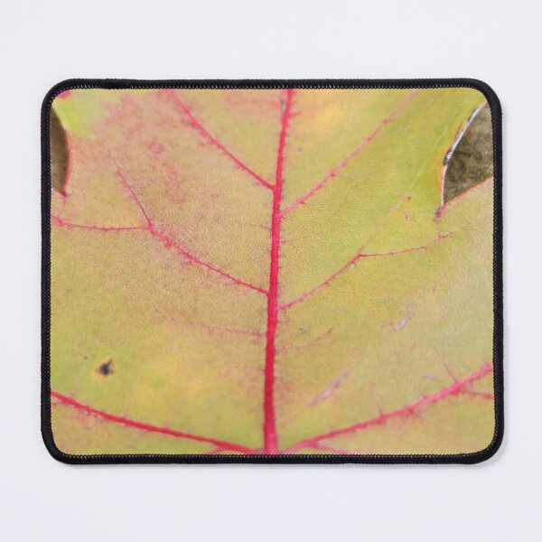 Item preview, Red-Veined Leaf designed and sold by MinaBohl.