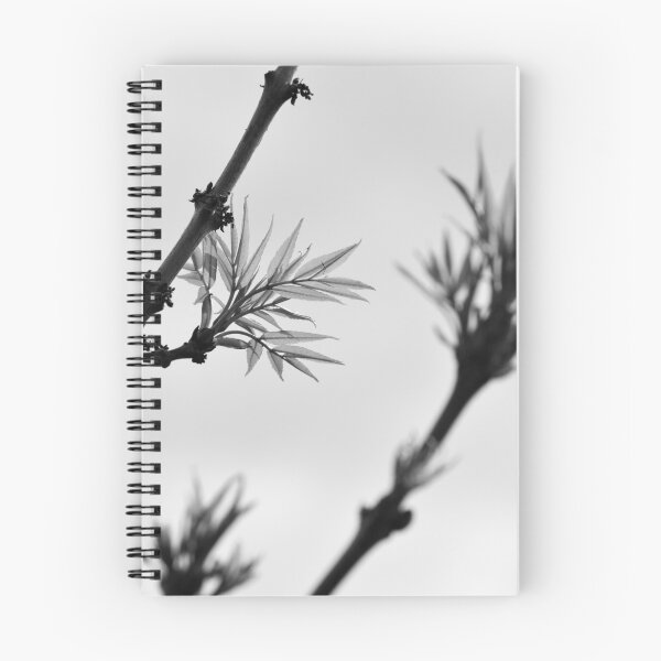 Item preview, Leaves In The Wind  -  BLACK & WHITE VERSION designed and sold by sophiemonie.