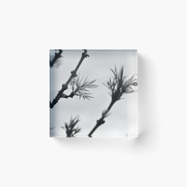 Item preview, Leaves In The Wind  -  BLACK & WHITE VERSION designed and sold by sophiemonie.