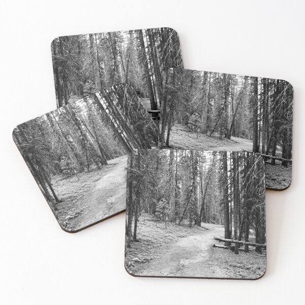 Item preview, Morning Walk-Pine Forest View designed and sold by CarefulCaptures.
