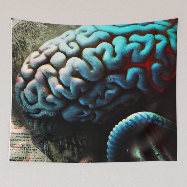 Item preview, Anatomy designed and sold by Grin77.