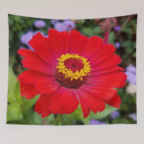 Item preview, Red zinnia - blazing ring of fire designed and sold by rvjames.