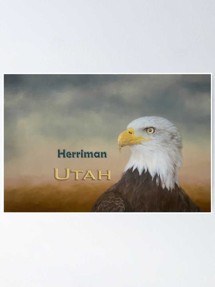 "Bald Eagle Herriman Utah" Poster for Sale by fineart2017 Redbubble