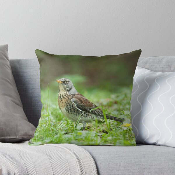 Item preview, Fieldfare designed and sold by Dominika Aniola.