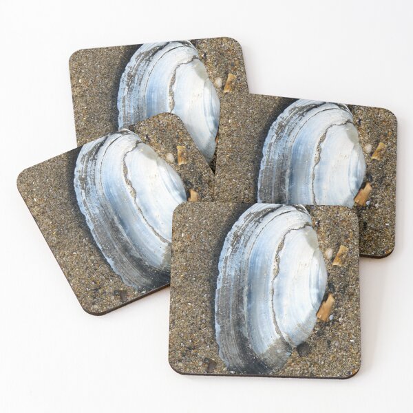 Item preview, shell designed and sold by KathleenDawson.