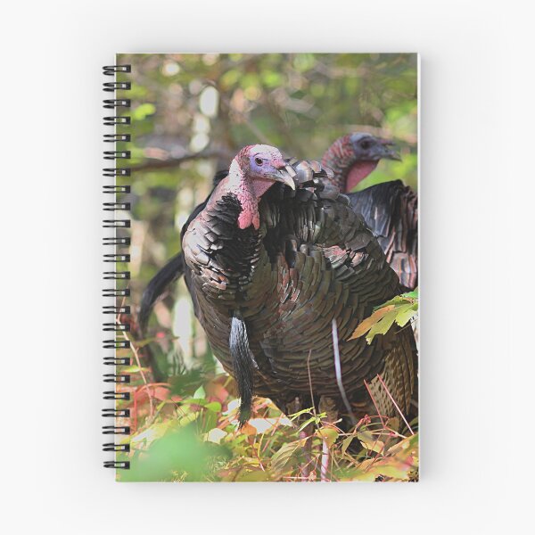 Item preview, So thankful designed and sold by Linda Crockett.