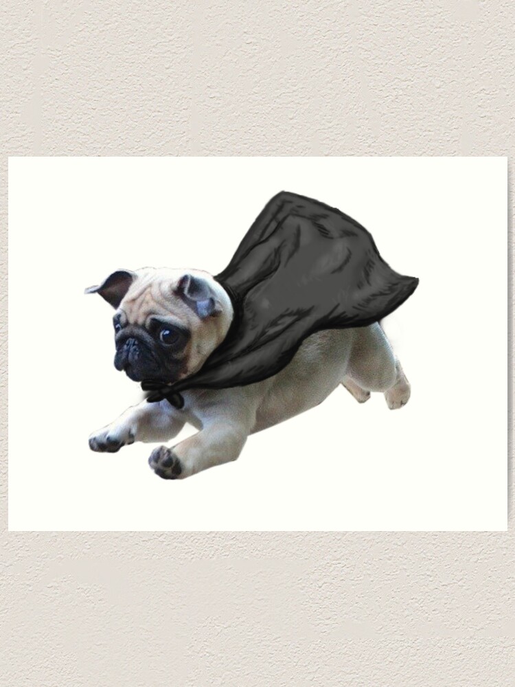 Pug flying store