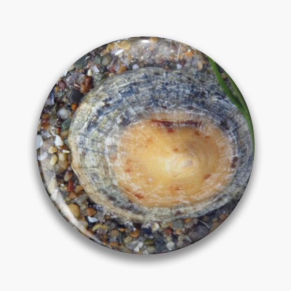 Item preview, shell designed and sold by KathleenDawson.