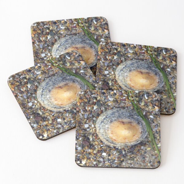 Item preview, shell designed and sold by KathleenDawson.