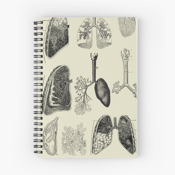 Item preview, Vintage human anatomy of respiratory tract designed and sold by Preslava Genova.