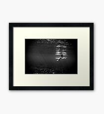 Serenity Framed Print