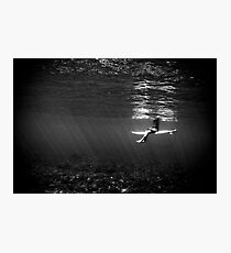 Serenity Photographic Print