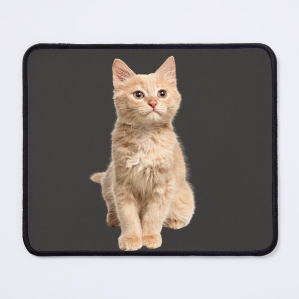 Item preview, mignon chat designed and sold by kouto.