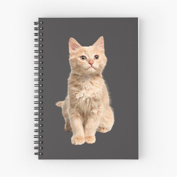 Artikelvorschau, Mignon-Chat entworfen und verkauft von kouto.