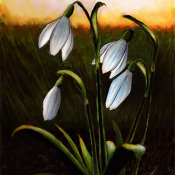 Artwork thumbnail, Snowdrop by BlueLinnet