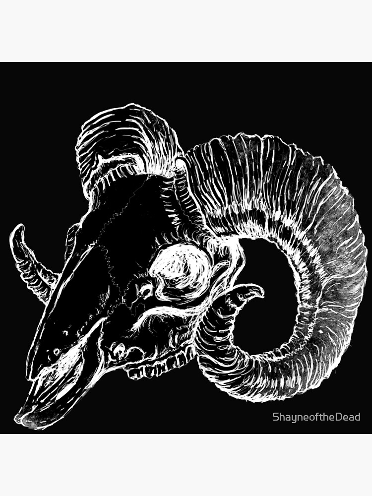 Ram Skull by ShayneoftheDead