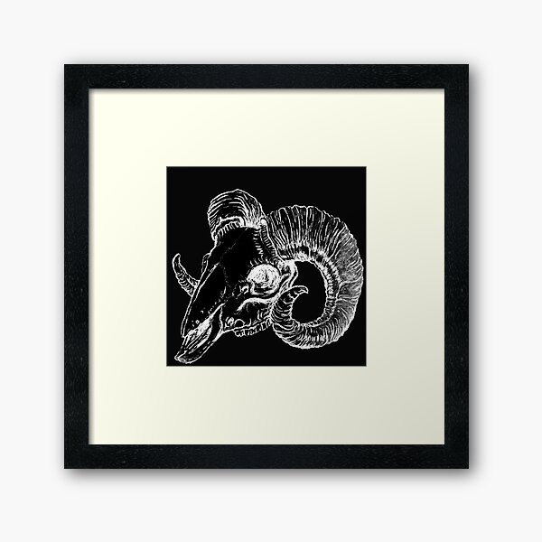 Ram Skull Framed Art Print
