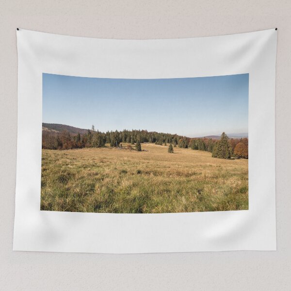 Item preview, Hala Srubita in autumn Beskid Zywiecki mountains in Poland designed and sold by honza28683.