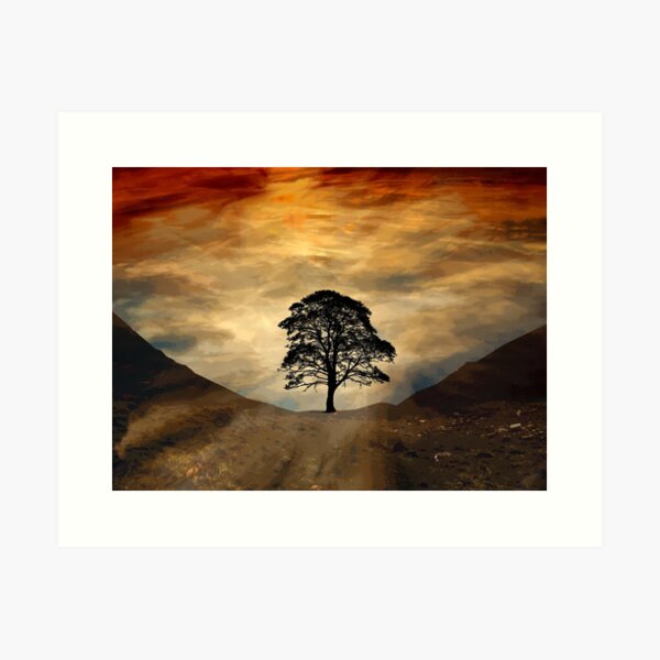 Item preview, Lone Tree Sycamore Gap Hadrian's wall Northumberland designed and sold by Stormswept.