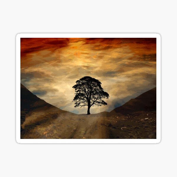 Item preview, Lone Tree Sycamore Gap Hadrian's wall Northumberland designed and sold by Stormswept.