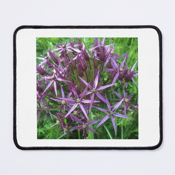 Item preview, All About The Alliums designed and sold by AllotmentCapers.