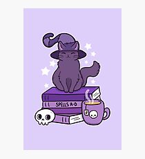 Feline Familiar 02 Photographic Print