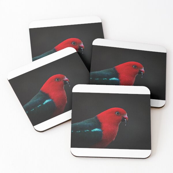 Item preview, King parrot  designed and sold by PVphotography.