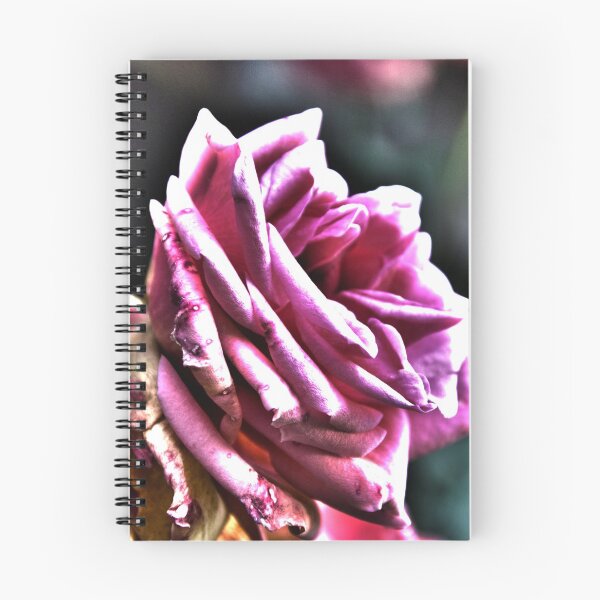 Item preview, big purple rose designed and sold by Michael Hofmann.