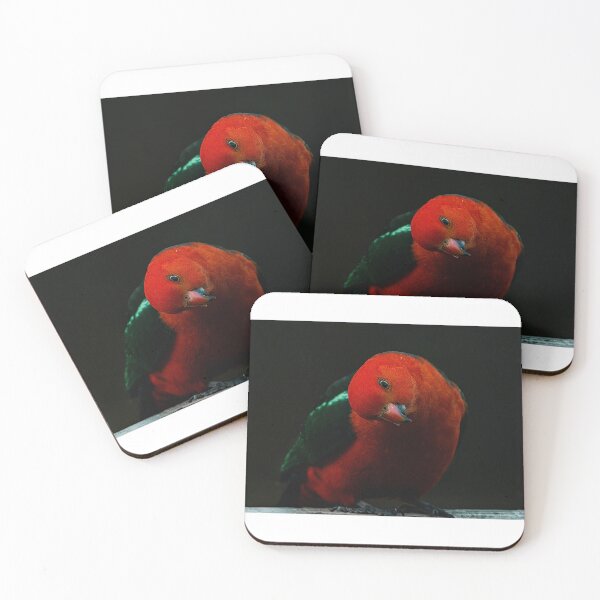 Item preview, King Parrot #2 designed and sold by PVphotography.