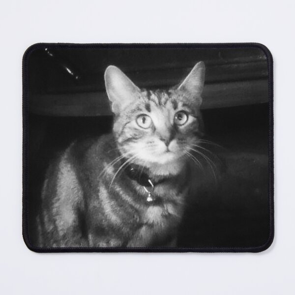 Item preview, tabby cat black and white designed and sold by Francespoppy.