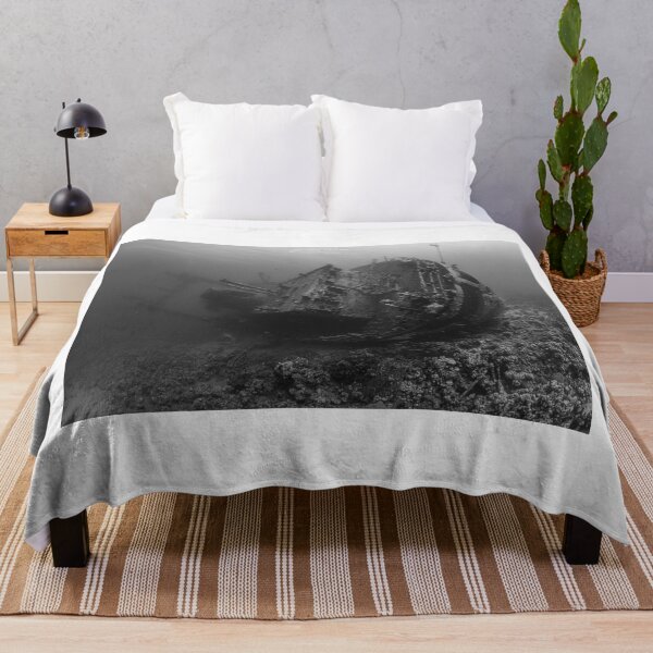 Item preview, Underwater wreck in Aqaba designed and sold by SalvaDiLauroUWP.