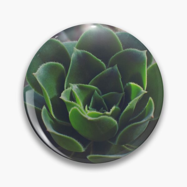 Item preview, Tree Houseleek Fleshy Leaves Succulent  designed and sold by CarolinaReina.