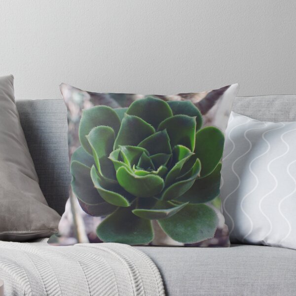 Item preview, Tree Houseleek Fleshy Leaves Succulent  designed and sold by CarolinaReina.