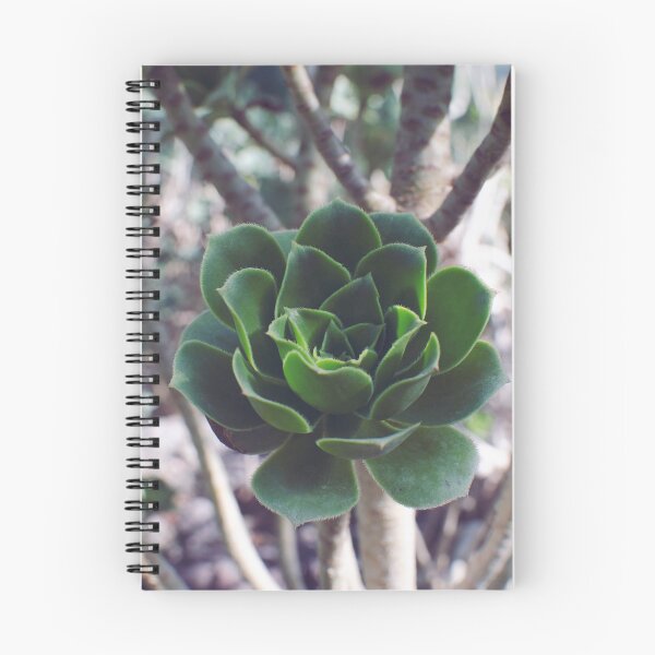 Item preview, Tree Houseleek Fleshy Leaves Succulent  designed and sold by CarolinaReina.