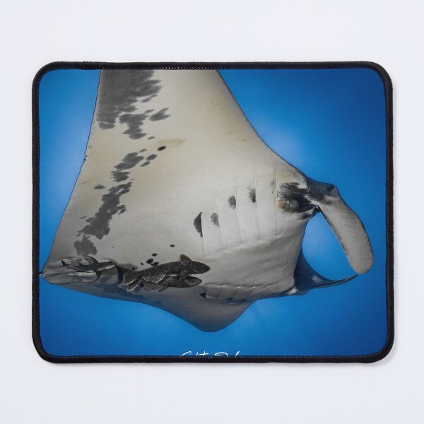 Item preview, Diving under the Manta designed and sold by SalvaDiLauroUWP.