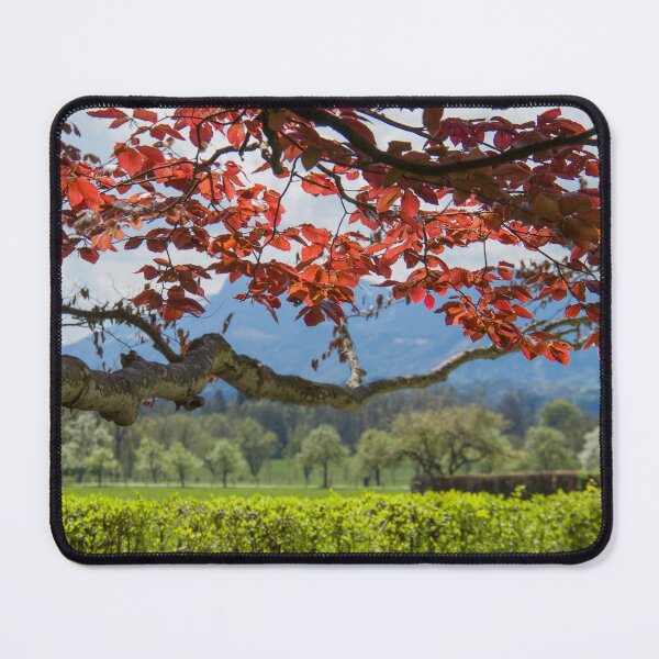 Item preview, Old tree with red foliage amid green garden. Beautiful summer background with tree and sky designed and sold by annamiss.