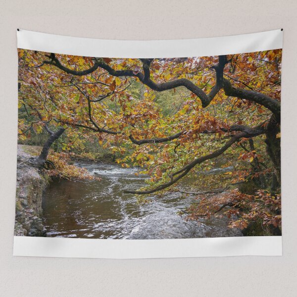 Item preview, Autumn on the Afon Pyrddin, Pontneddfechan, Neath designed and sold by VnGphoto.