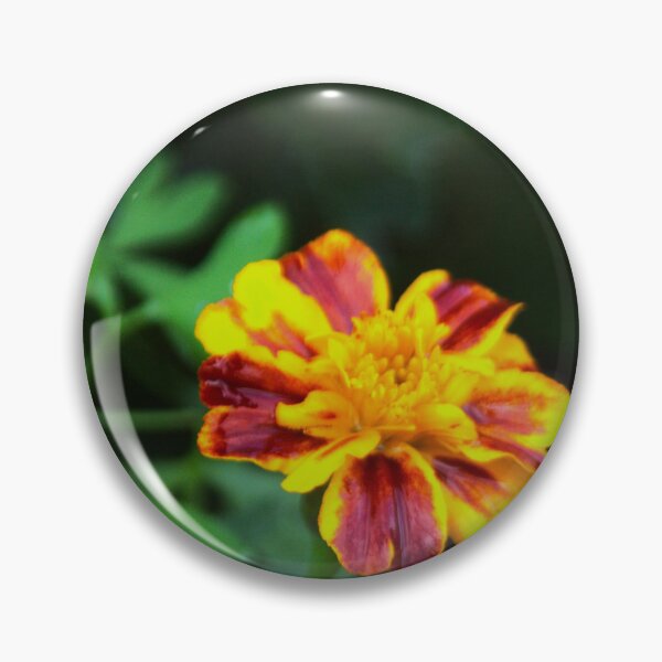 Item preview, Marigold Flower designed and sold by Francespoppy.