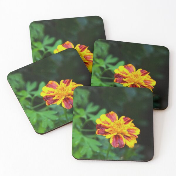 Item preview, Marigold Flower designed and sold by Francespoppy.