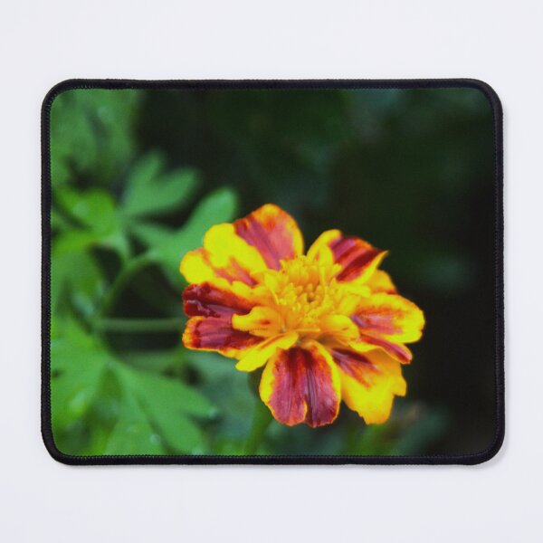 Item preview, Marigold Flower designed and sold by Francespoppy.