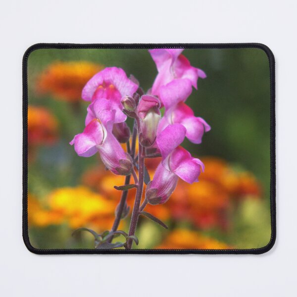 Item preview, pink flowers designed and sold by Francespoppy.