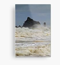 THE BEACH Metal Print