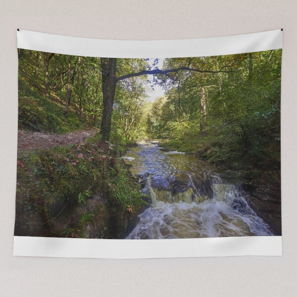 Item preview, Autumn on the Afon Pyrddin, Pontneddfechan designed and sold by VnGphoto.