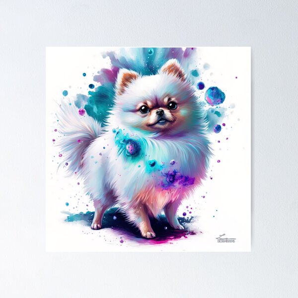 Pomeranian Poster