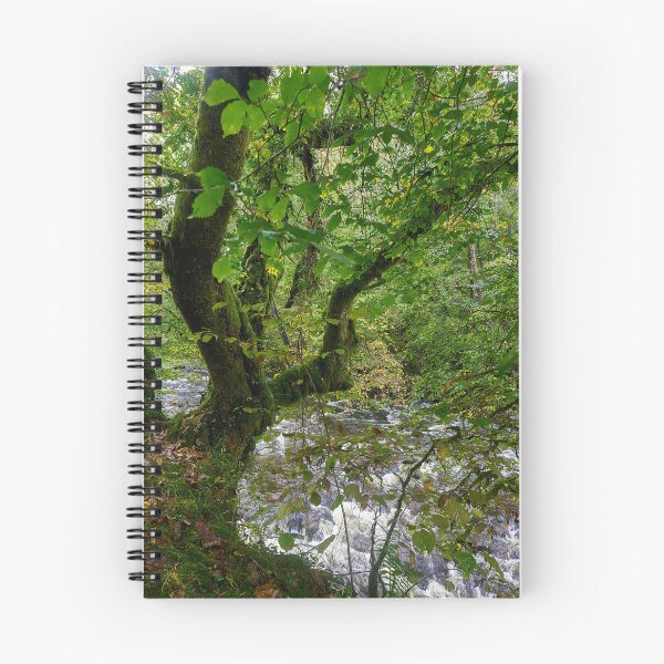 Item preview, Autumn on the Afon Pyrddin, Pontneddfechan designed and sold by VnGphoto.
