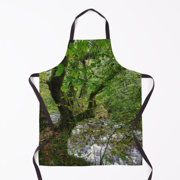 Item preview, Autumn on the Afon Pyrddin, Pontneddfechan designed and sold by VnGphoto.