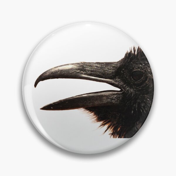 Item preview, Raven. harbinger · Mother Carey's chicken · omen · rebel · red flag · storm petrel. Crow, Corvus corax.  designed and sold by TheNatureTalent.